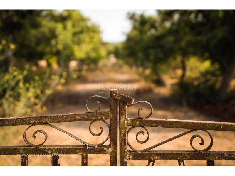 Foto bbb5aa70-0d65-4ff7-8513-a7362cc77418. Fondo rustico in Alaior poble Alaior Foto bbb5aa70-0d65-4ff7-8513-a7362cc77418. Fondo rustico in Alaior poble Alaior