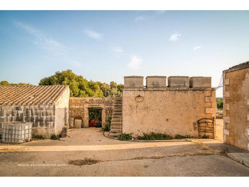 Foto cefce330-0fe1-4077-8f26-864b8c05677f. Fondo rustico in Alaior poble Alaior Foto cefce330-0fe1-4077-8f26-864b8c05677f. Fondo rustico in Alaior poble Alaior