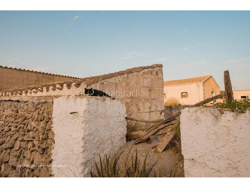 Foto d3ef12bc-e255-46cb-be7f-615000ba81c1. Fondo rustico in Alaior poble Alaior Foto d3ef12bc-e255-46cb-be7f-615000ba81c1. Fondo rustico in Alaior poble Alaior