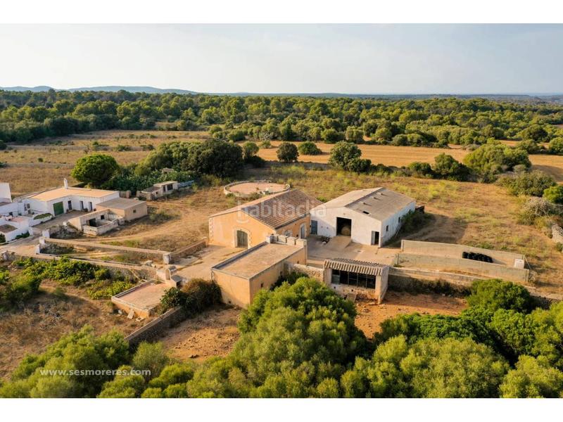 Foto d56bf9bf-3fc7-4c1f-b981-f9c11dce6079. Fondo rustico in Alaior poble Alaior Foto d56bf9bf-3fc7-4c1f-b981-f9c11dce6079. Fondo rustico in Alaior poble Alaior