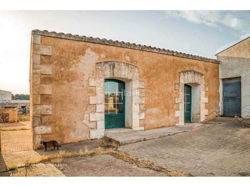 Foto f28ddb4a-fa35-4895-98c8-8a60e661d295. Fondo rustico in Alaior poble Alaior Foto f28ddb4a-fa35-4895-98c8-8a60e661d295. Fondo rustico in Alaior poble Alaior