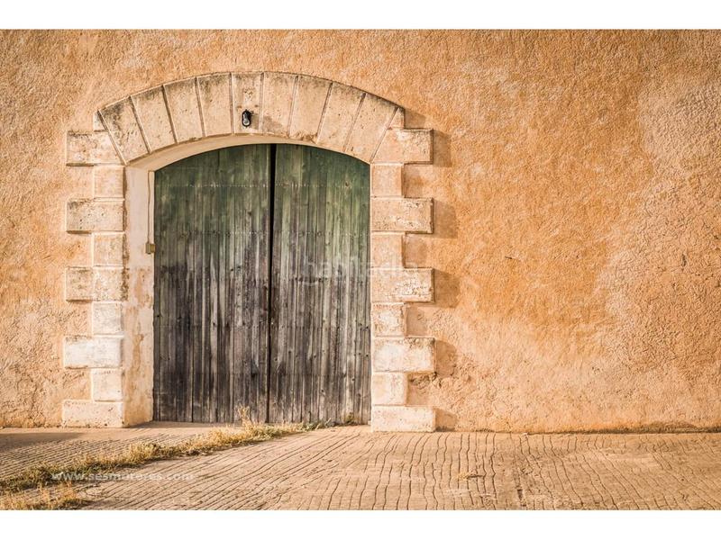 Foto fcd4714b-b0a5-4a66-b925-e9b7bee81c37. Fondo rustico in Alaior poble Alaior Foto fcd4714b-b0a5-4a66-b925-e9b7bee81c37. Fondo rustico in Alaior poble Alaior