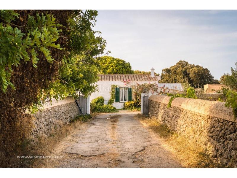 Foto fd471591-b987-4b42-b402-fb46dc19d893. Fondo rustico in Alaior poble Alaior Foto fd471591-b987-4b42-b402-fb46dc19d893. Fondo rustico in Alaior poble Alaior