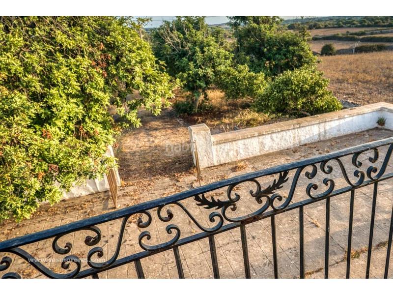 Foto fdcc7364-114c-4736-9cb7-d4891fde6a89. Fondo rustico in Alaior poble Alaior Foto fdcc7364-114c-4736-9cb7-d4891fde6a89. Fondo rustico in Alaior poble Alaior