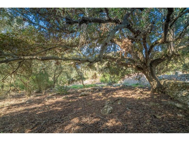 Foto 83cf6774-75ac-4046-b19c-0587d1aa54ae. Propriété dans Alaior poble Alaior Foto 83cf6774-75ac-4046-b19c-0587d1aa54ae. Propriété dans Alaior poble Alaior