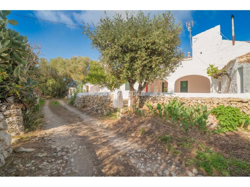 Foto daadf0f9-ca80-4c8c-a596-6bbf62b4055a. Propriété dans Alaior poble Alaior Foto daadf0f9-ca80-4c8c-a596-6bbf62b4055a. Propriété dans Alaior poble Alaior