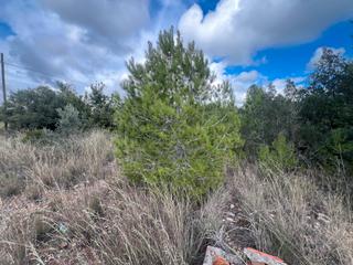 Residential Plot in Carrer timbaler del bruc 7 Residential Plot in Carrer timbaler del bruc 7