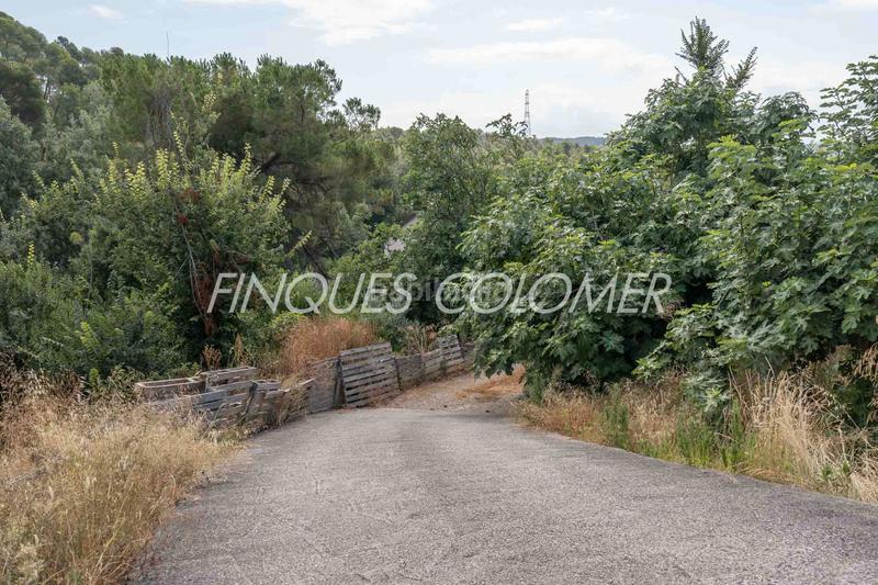 Foto 014c02a3-9f09-4488-97c3-dfeecbd593df. Maison avec cheminée parking dans Sant Muç Rubí Foto 014c02a3-9f09-4488-97c3-dfeecbd593df. Maison avec cheminée parking dans Sant Muç Rubí