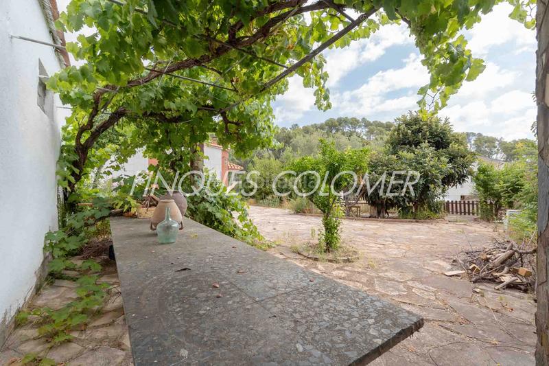 Foto 10ebad48-df00-49ab-be83-14b78baace92. Maison avec cheminée parking dans Sant Muç Rubí Foto 10ebad48-df00-49ab-be83-14b78baace92. Maison avec cheminée parking dans Sant Muç Rubí