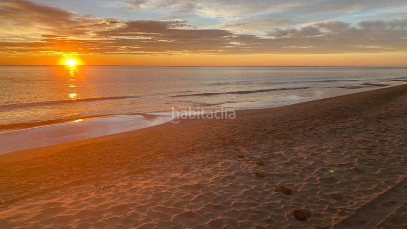 Foto 56009772-5fb9-4fe9-9fd6-3f0d27e34695. Pis a Pueblo Guardamar del Segura Foto 56009772-5fb9-4fe9-9fd6-3f0d27e34695. Pis a Pueblo Guardamar del Segura