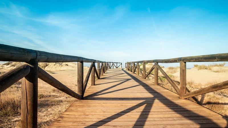 Foto 983129ae-ded7-4be2-9bdf-9f9bc3817fd0. Pis a Pueblo Guardamar del Segura Foto 983129ae-ded7-4be2-9bdf-9f9bc3817fd0. Pis a Pueblo Guardamar del Segura