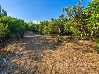 Rent Residential Plot N/a. Terreno rústico en alquiler los llanos, coín Rent Residential Plot N/a. Terreno rústico en alquiler los llanos, coín