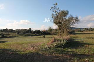 Rural plot in Jorba. Terreno y masía en venta en jorba Rural plot in Jorba. Terreno y masía en venta en jorba