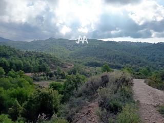 Rural plot in Bruc (El). Terreno en venta cerca de montserrat parc el bruc Rural plot in Bruc (El). Terreno en venta cerca de montserrat parc el bruc