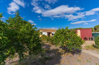 Bauernhof  Camino del madroño. ?? finca con casa en bonares – naturaleza a 30 min de la costa Bauernhof  Camino del madroño. ?? finca con casa en bonares – naturaleza a 30 min de la costa