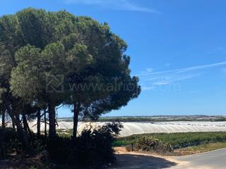 Lloguer Terreny residencial Cartaya - polígono 25. Venta de fincas agrícolas en la ribera de cartaya Lloguer Terreny residencial Cartaya - polígono 25. Venta de fincas agrícolas en la ribera de cartaya
