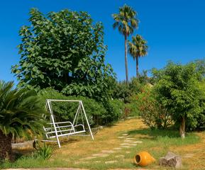 Rent Flat in Sóller. Alquiler de piso en soller Rent Flat in Sóller. Alquiler de piso en soller