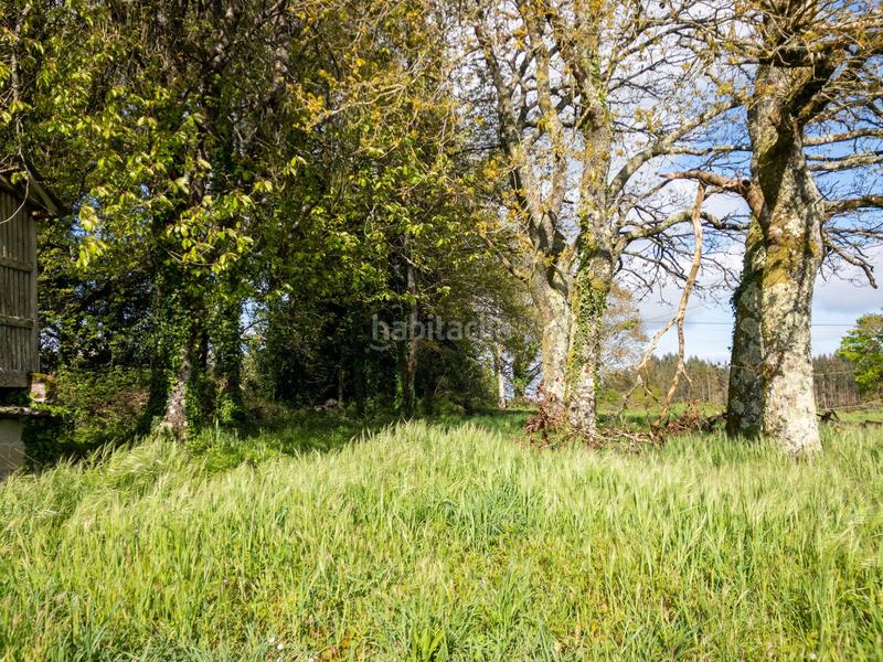 Foto 48239973-2e6b-441d-b9e3-e5f441eaff4a. Masia a Vilalba Foto 48239973-2e6b-441d-b9e3-e5f441eaff4a. Masia a Vilalba