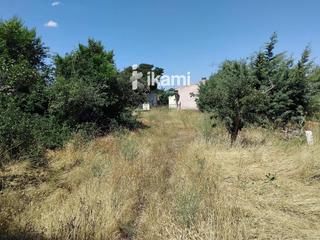 Finca rústica Carretera de cardeñosa. Parcela en venta Finca rústica Carretera de cardeñosa. Parcela en venta