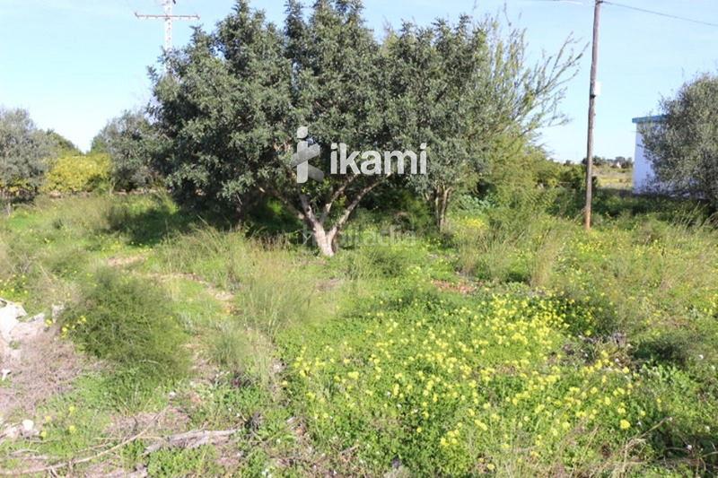 Foto 56bd774b-5de6-434b-aec6-85fc22469c63. Finca rústica a Poblets (els) Foto 56bd774b-5de6-434b-aec6-85fc22469c63. Finca rústica a Poblets (els)
