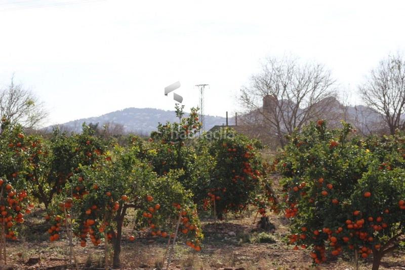 Foto 7a67594c-859d-4de1-80be-9d17f6ac33b2. Finca rústica a Poblets (els) Foto 7a67594c-859d-4de1-80be-9d17f6ac33b2. Finca rústica a Poblets (els)