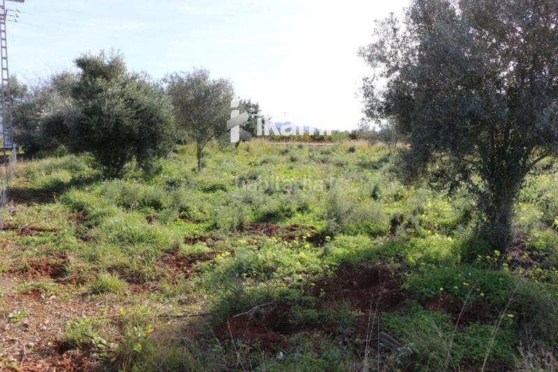 Foto 890b928a-3e28-44b0-93d1-43a9c316cced. Finca rústica a Poblets (els) Foto 890b928a-3e28-44b0-93d1-43a9c316cced. Finca rústica a Poblets (els)