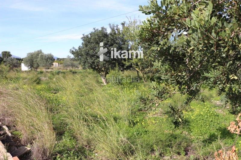 Foto c5b74707-ef1f-40bc-bdaa-d23cbac3c984. Finca rústica a Poblets (els) Foto c5b74707-ef1f-40bc-bdaa-d23cbac3c984. Finca rústica a Poblets (els)