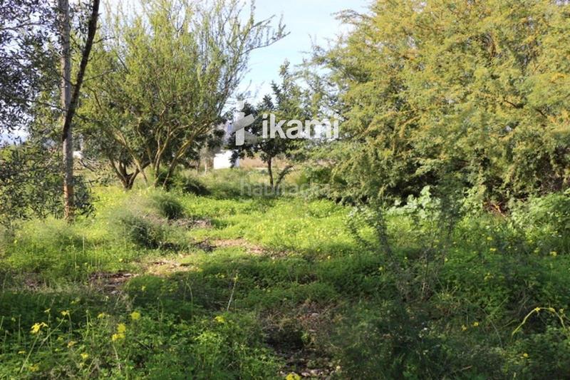Foto d8f726e9-4391-4aef-ac2f-38b4cfc43c29. Finca rústica a Poblets (els) Foto d8f726e9-4391-4aef-ac2f-38b4cfc43c29. Finca rústica a Poblets (els)