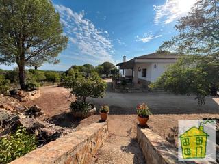 Finca rústica a Poblado del santuario virgen de la cabeza 42. Viña en venta en zona alcornoque Finca rústica a Poblado del santuario virgen de la cabeza 42. Viña en venta en zona alcornoque