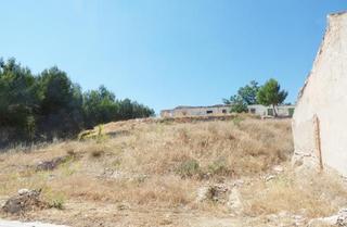 Finca rústica Calle del pueblo andaluz. Terreno en venta en calle pueblo andaluz n 26-28, peal de becerr Finca rústica Calle del pueblo andaluz. Terreno en venta en calle pueblo andaluz n 26-28, peal de becerr