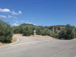 Finca rústica N-322. Terreno rústico en venta en pre. la suertecilla, arroyo del ojan Finca rústica N-322. Terreno rústico en venta en pre. la suertecilla, arroyo del ojan