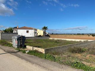 Terreny residencial Avenida de la libertad. Terreno urbano para construir en venta en carretera confederacio Terreny residencial Avenida de la libertad. Terreno urbano para construir en venta en carretera confederacio