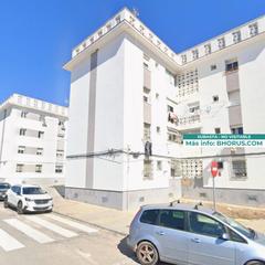 Pis  Palomino 2 Pis  Palomino 2