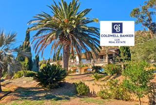 Casa  N/a. Un amplio terreno de casi una hectárea plantado de olivos, vista Casa  N/a. Un amplio terreno de casi una hectárea plantado de olivos, vista