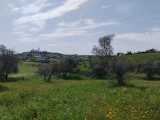 Propriété à Oliva de la Frontera. Parcela en venta, cerca del pueblo. olivos Propriété à Oliva de la Frontera. Parcela en venta, cerca del pueblo. olivos