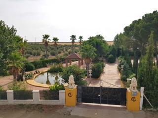 Bauernhof in Torrenueva. Finca rúst. en venta en santa cruz de mudela, 6 dormitorios. Bauernhof in Torrenueva. Finca rúst. en venta en santa cruz de mudela, 6 dormitorios.