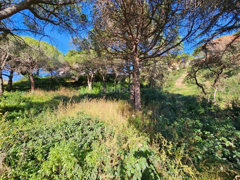 Foto 11dcaa99-ddcb-4419-ae25-93efa6bdbe19. Terrain résidentiel dans Urbanitzacions Mataró Foto 11dcaa99-ddcb-4419-ae25-93efa6bdbe19. Terrain résidentiel dans Urbanitzacions Mataró