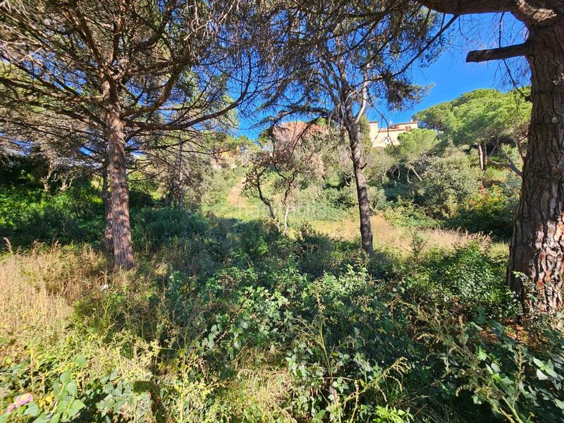 Foto 3a6df902-ce21-4013-9e17-adf41bc51cab. Terrain résidentiel dans Urbanitzacions Mataró Foto 3a6df902-ce21-4013-9e17-adf41bc51cab. Terrain résidentiel dans Urbanitzacions Mataró