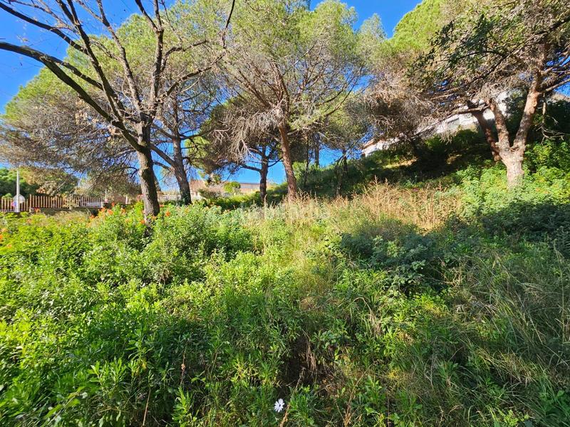 Foto c1c187f6-0098-4107-b6dd-81a3f3f52f55. Terrain résidentiel dans Urbanitzacions Mataró Foto c1c187f6-0098-4107-b6dd-81a3f3f52f55. Terrain résidentiel dans Urbanitzacions Mataró