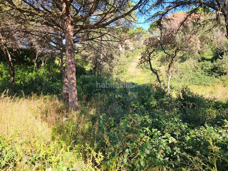 Foto d0f05e82-3c5f-485b-9366-0c01b6d1c871. Terrain résidentiel dans Urbanitzacions Mataró Foto d0f05e82-3c5f-485b-9366-0c01b6d1c871. Terrain résidentiel dans Urbanitzacions Mataró