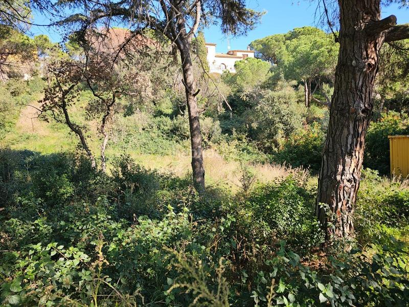 Foto df09d3e6-a64a-480b-a7fb-9b8cacf9c2ef. Terrain résidentiel dans Urbanitzacions Mataró Foto df09d3e6-a64a-480b-a7fb-9b8cacf9c2ef. Terrain résidentiel dans Urbanitzacions Mataró