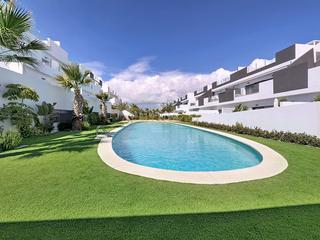 Lloguer Dúplex Avenida de denia, 5, torrevieja, spain. Ático dúplex con solárium y vistas a la piscina en los balcones Lloguer Dúplex Avenida de denia, 5, torrevieja, spain. Ático dúplex con solárium y vistas a la piscina en los balcones