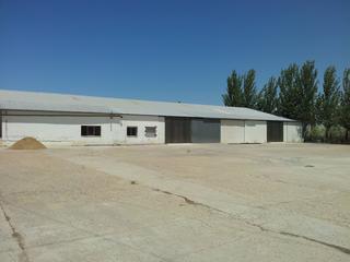 Location Bâtiment à usage industriel à Coronada (La). Venta de nave en carretera la coronada Location Bâtiment à usage industriel à Coronada (La). Venta de nave en carretera la coronada