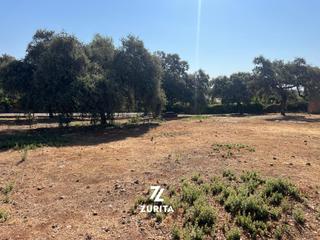 Residential Plot in Paraíso Arenal - La Colina. Terreno en la colina Residential Plot in Paraíso Arenal - La Colina. Terreno en la colina