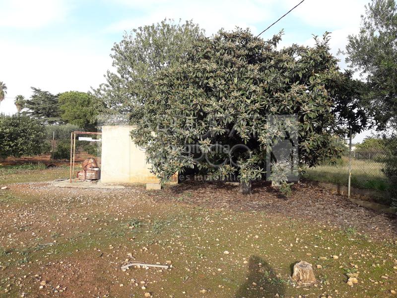 Foto 2e31cff6-d9b9-4c93-b2a6-e14b9f367f60. Terreny residencial a Madrigal Villarreal / Vila - real Foto 2e31cff6-d9b9-4c93-b2a6-e14b9f367f60. Terreny residencial a Madrigal Villarreal / Vila - real