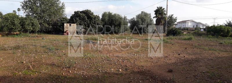 Foto cf0e7a61-fb42-4f40-9e2f-b889a695fdc6. Terreny residencial a Madrigal Villarreal / Vila - real Foto cf0e7a61-fb42-4f40-9e2f-b889a695fdc6. Terreny residencial a Madrigal Villarreal / Vila - real
