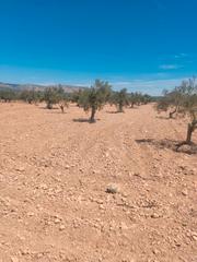 Propriété à Biar Propriété à Biar