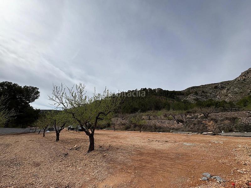 Foto 2938ae45-df01-4daa-969f-85caaf9f81c8. Casa en Romana (la) Foto 2938ae45-df01-4daa-969f-85caaf9f81c8. Casa en Romana (la)