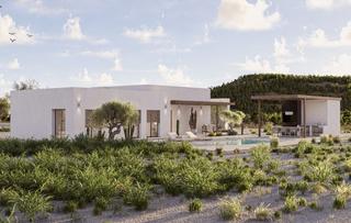 House in Pinoso House in Pinoso