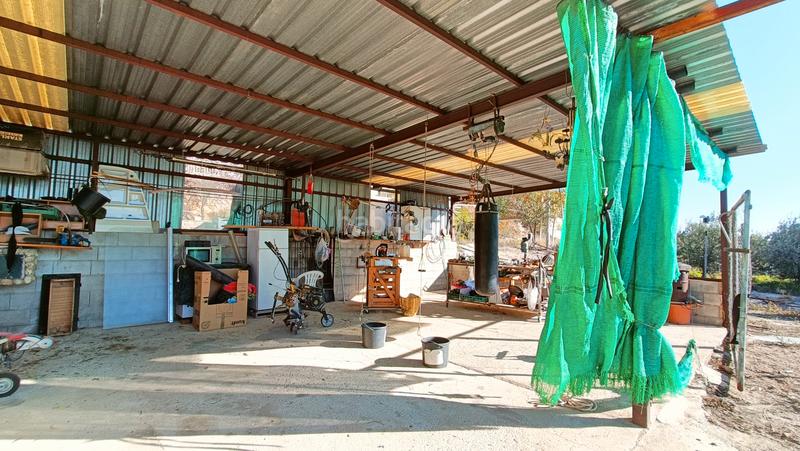 Foto 11066b6b-5576-4210-9a12-dea152fb01c0. Casa a Romana (la) Foto 11066b6b-5576-4210-9a12-dea152fb01c0. Casa a Romana (la)